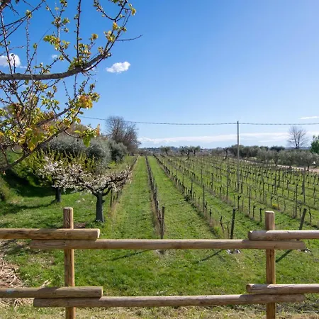 Dom wakacyjny Agricamping Est Garda Zaffiro Lazise